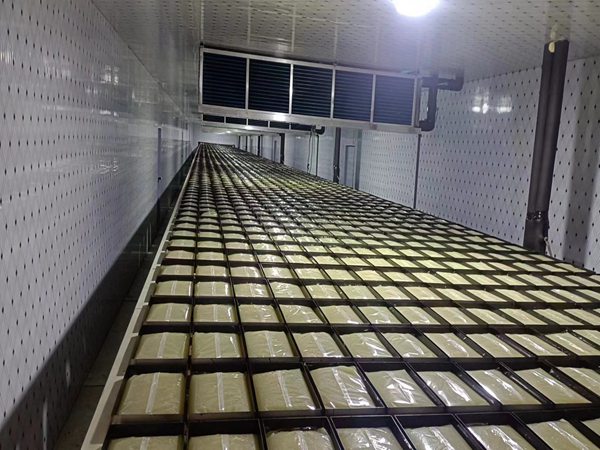 上下料搬運機(jī)器人圖片